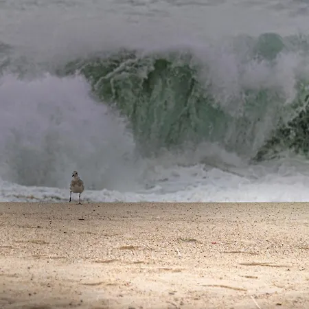 Casa de Férias Casa Kiara Silvercoast *