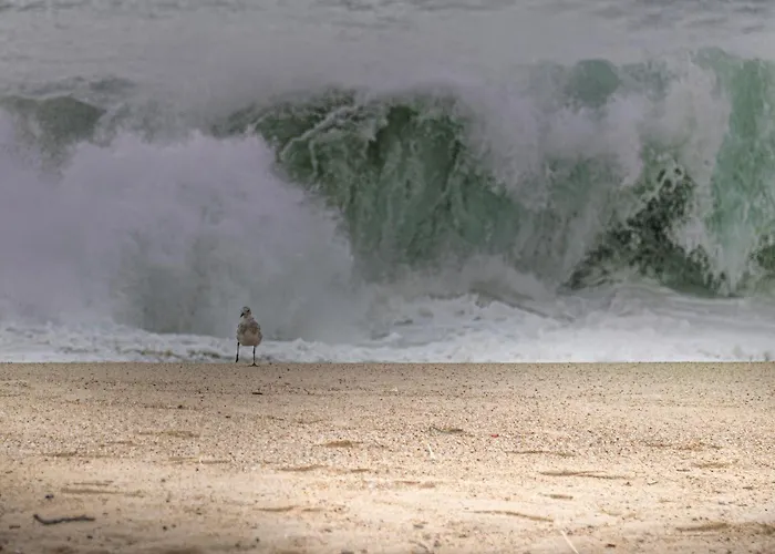 بيت للعطل Casa Kiara Silvercoast *